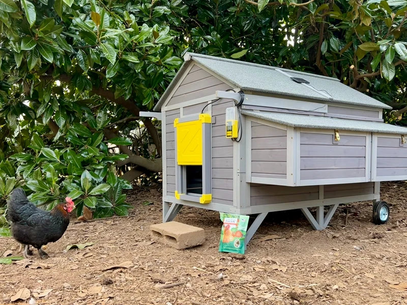 Portable Wooden Chicken Coop with Nesting Box with Sturdy Iron Frame, Durable and Waterproof, Large Upgraded Poultry Cage.