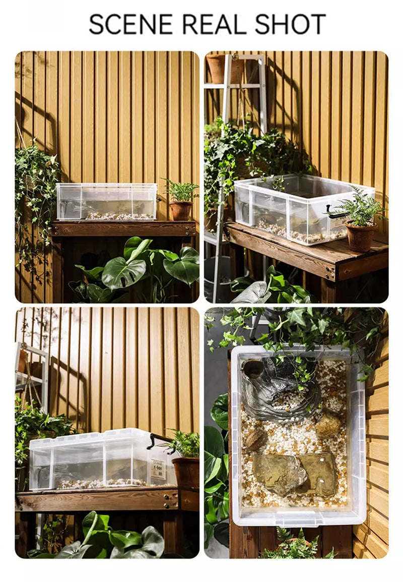 Turtle Terrariums Household Turnover Box Turtle Breeding Plastic Landscaping Tank Transparent Aquarium Reptile Transport Boxes
