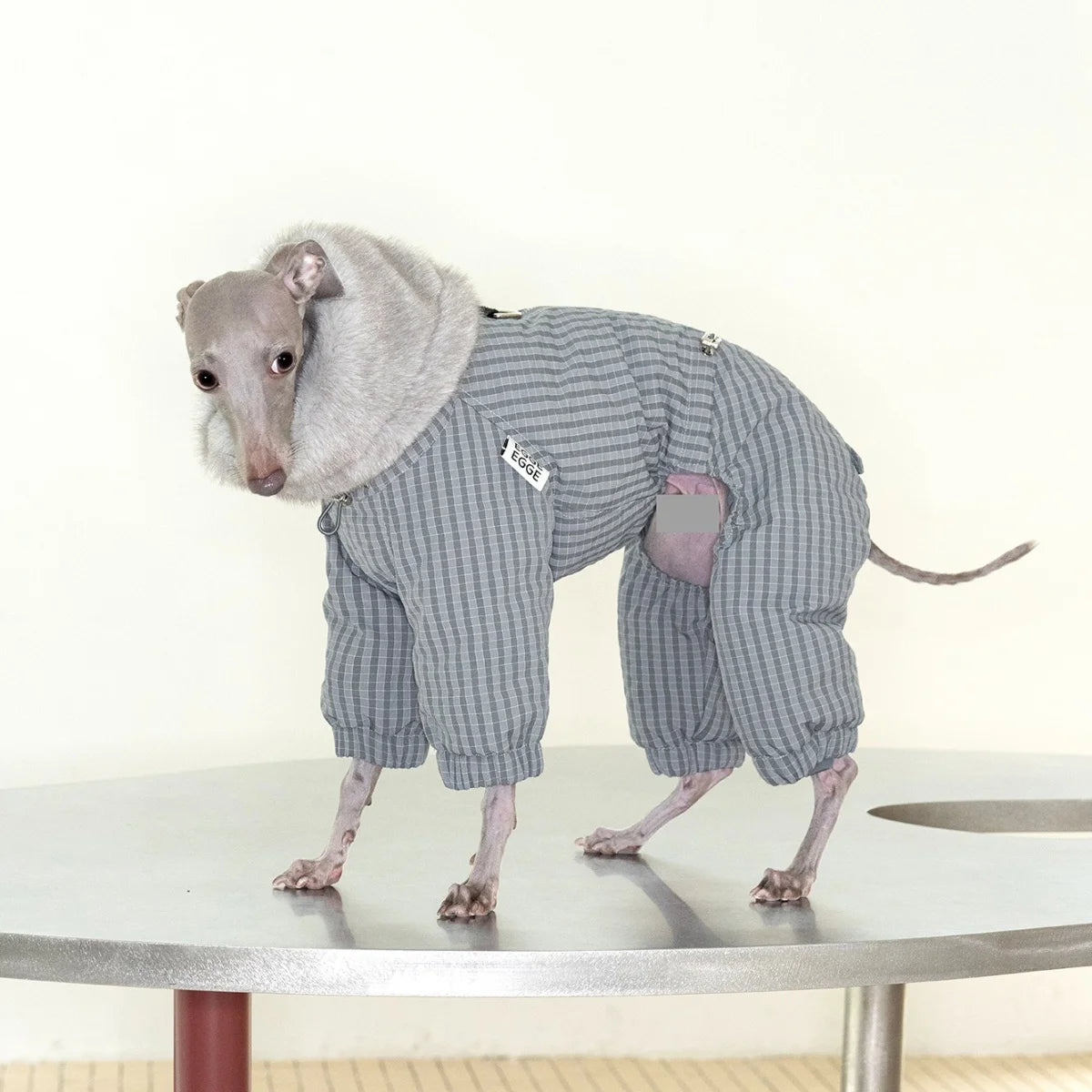Thick Plaid Down Coat for Dogs in Winter Waterproof Windproof Grey Warm 4-leg Mink Fur Collar Puffer Jacket for Italy Greyhound