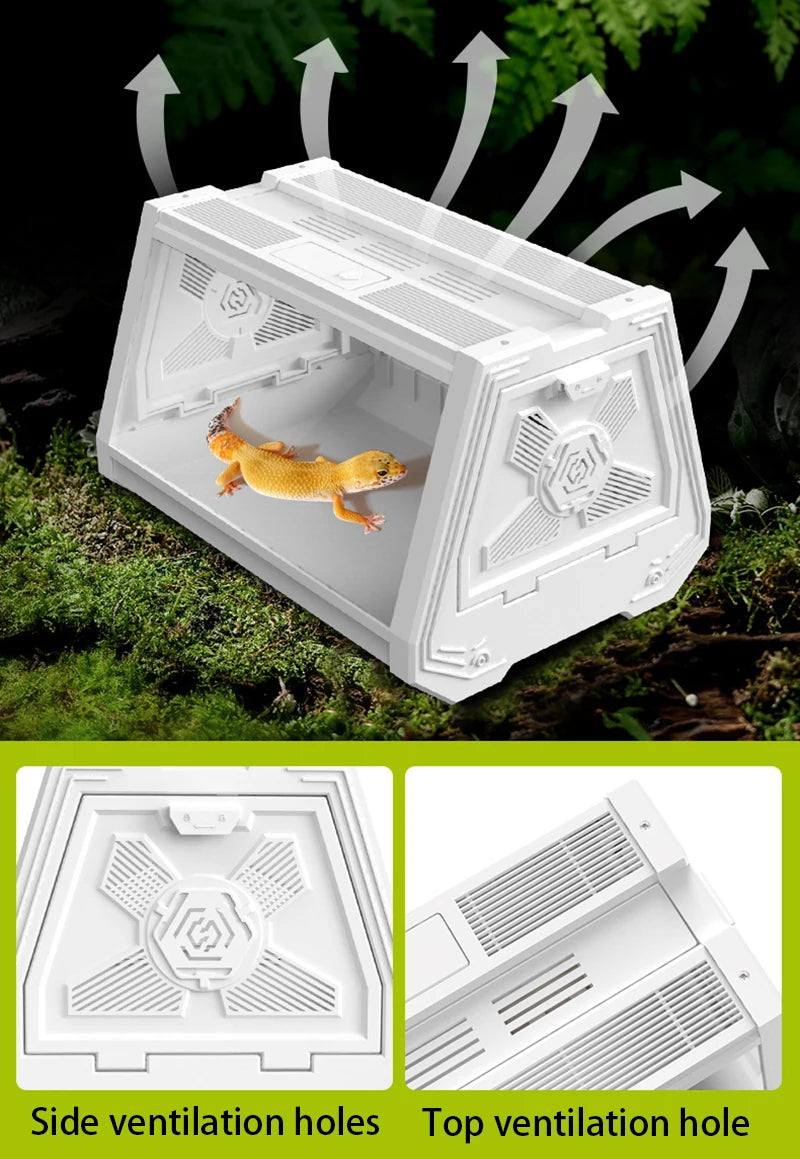 Reptile Terrarium Desktop Ecological Tank Escape-Proof Ventilated Habitat Breeding Box Mini Reptile Habitat for Gecko Snake Frog