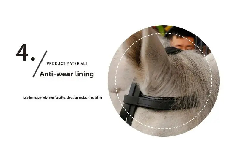 Horse Riding, Horse Training, Controlling Horses, Horse Harnesses, Equestrian Supplies Horse Bridle and Reins