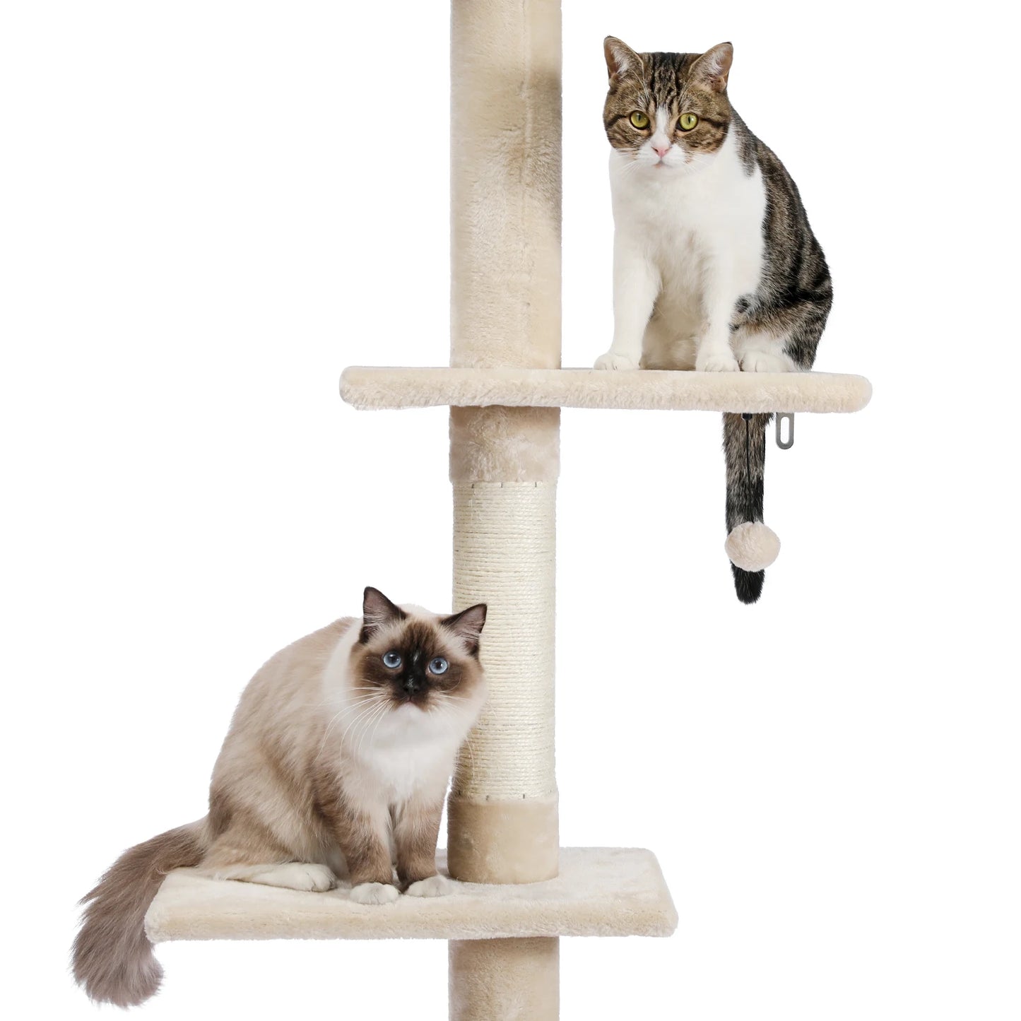 Adjustable Floor-to-Ceiling Vertical Cat Tree Tower Stable Tall Cat Climbing Tree Cat Kittens Cat Toy Suitable for Indoor Cats