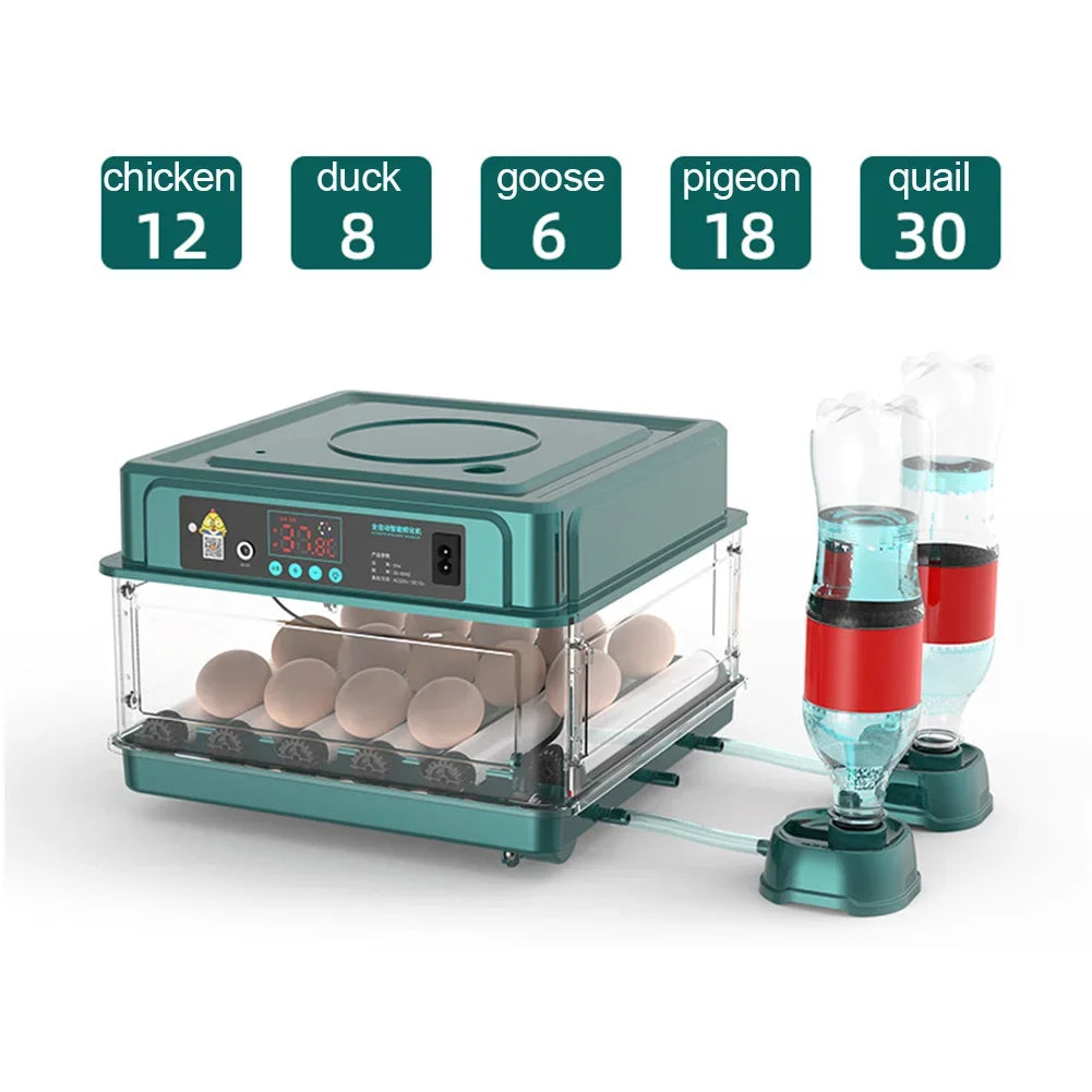 6-12 Eggs Incubator for Chicken Goose Bird Quail Automatic Incubation Equipment Hatchery Incubation Tool US Plug Dual Electric design