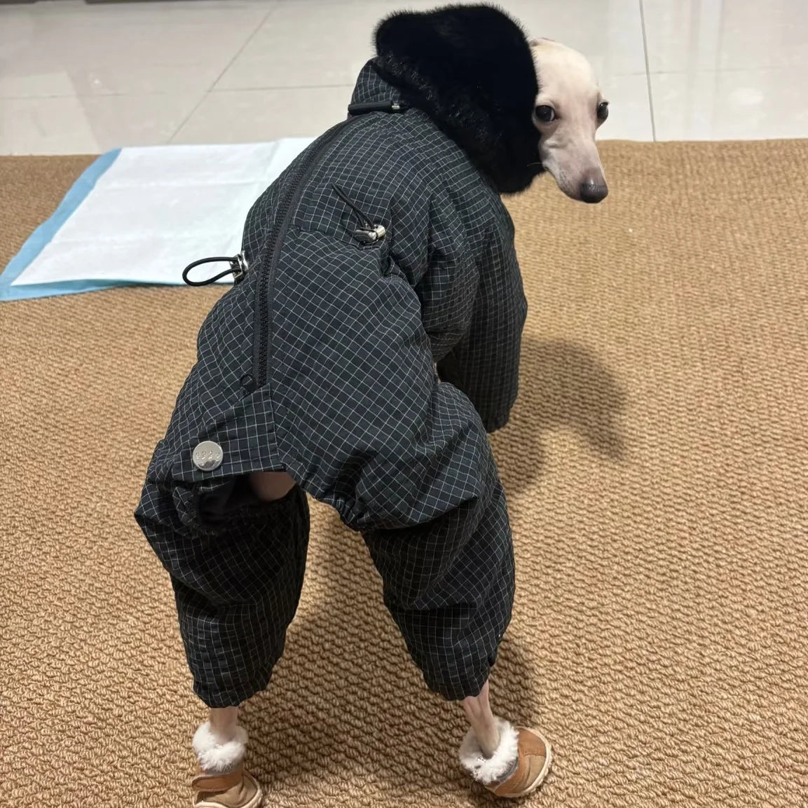 Thick Plaid Down Coat for Dogs in Winter Waterproof Windproof Grey Warm 4-leg Mink Fur Collar Puffer Jacket for Italy Greyhound