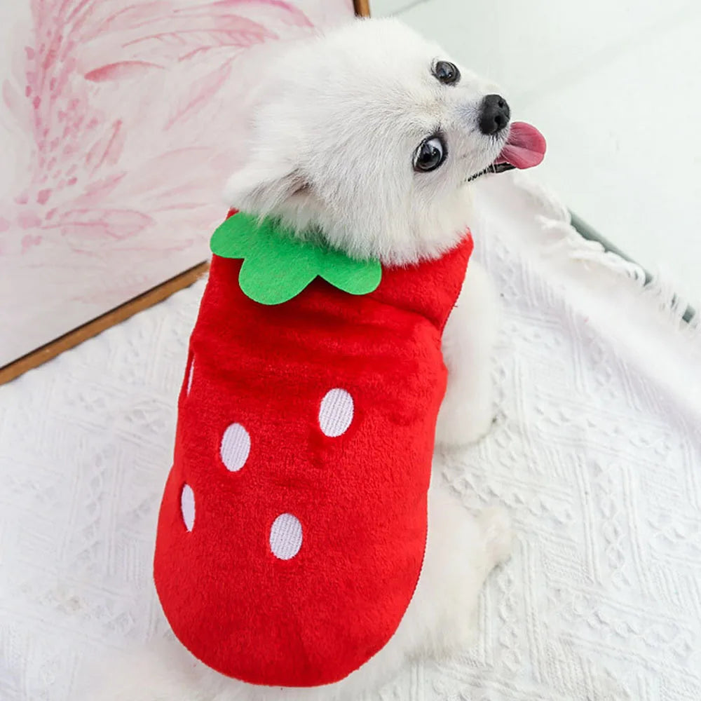 Cat Sweater Small Dog Clothes Winter Warm Cute Pet Sweaters Flannel Cat Vest Outfits for Chihuahua Yorkie Dachshunds Small Dogs and Hairless Cats