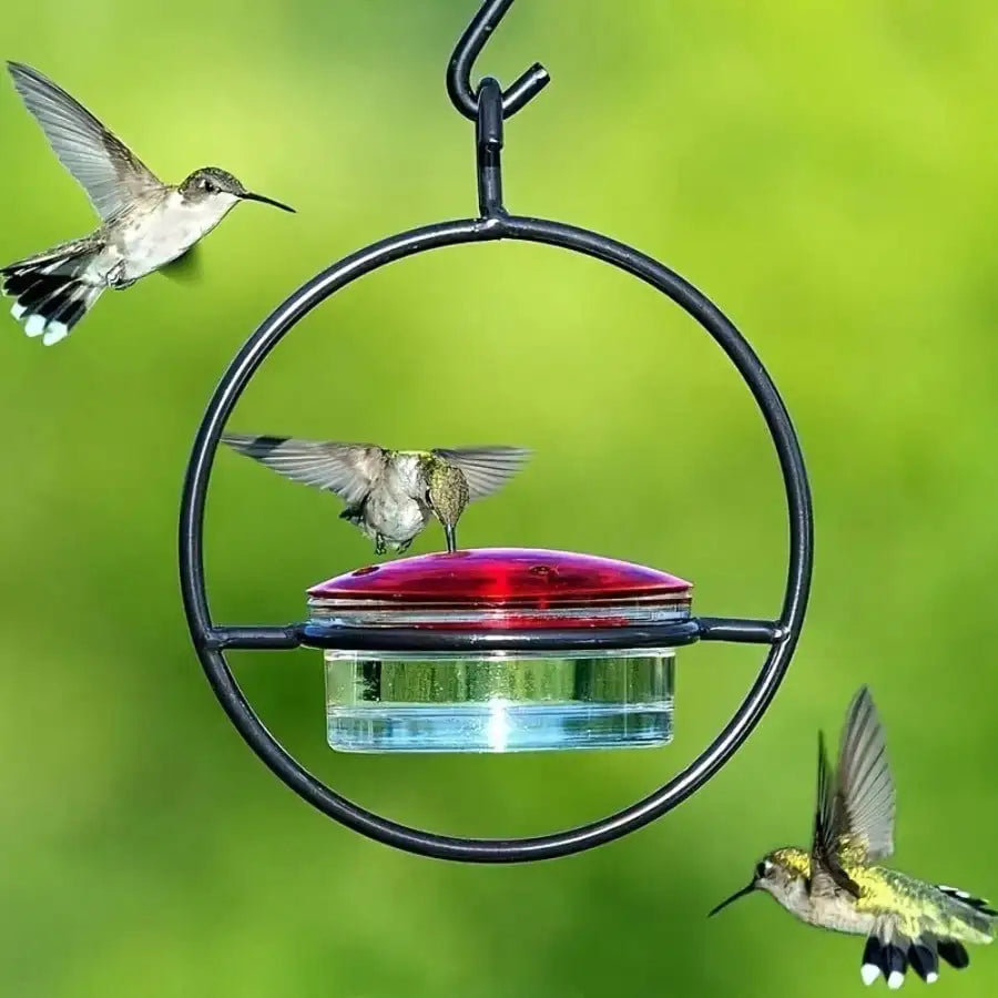 3pcs Metal Hanging Hummingbird Feeder With Red Glass Bottles, Transparent Design & Perches - No Electricity/Battery Needed