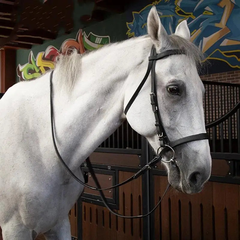 Horse Riding, Horse Training, Controlling Horses, Horse Harnesses, Equestrian Supplies Horse Bridle and Reins