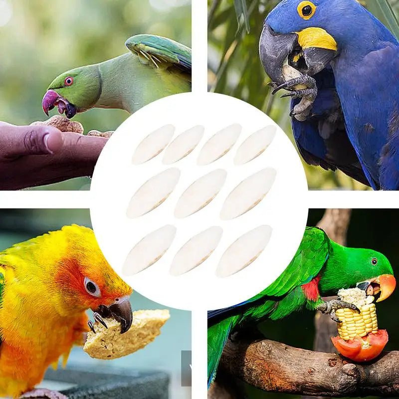 10pcs Cuttlefish Sepia Bone Parrot Chewing Cuttle Bone Bird Food Calcium Pickstone Parakeets Budgies Cockatiels Cuttlebone Toy