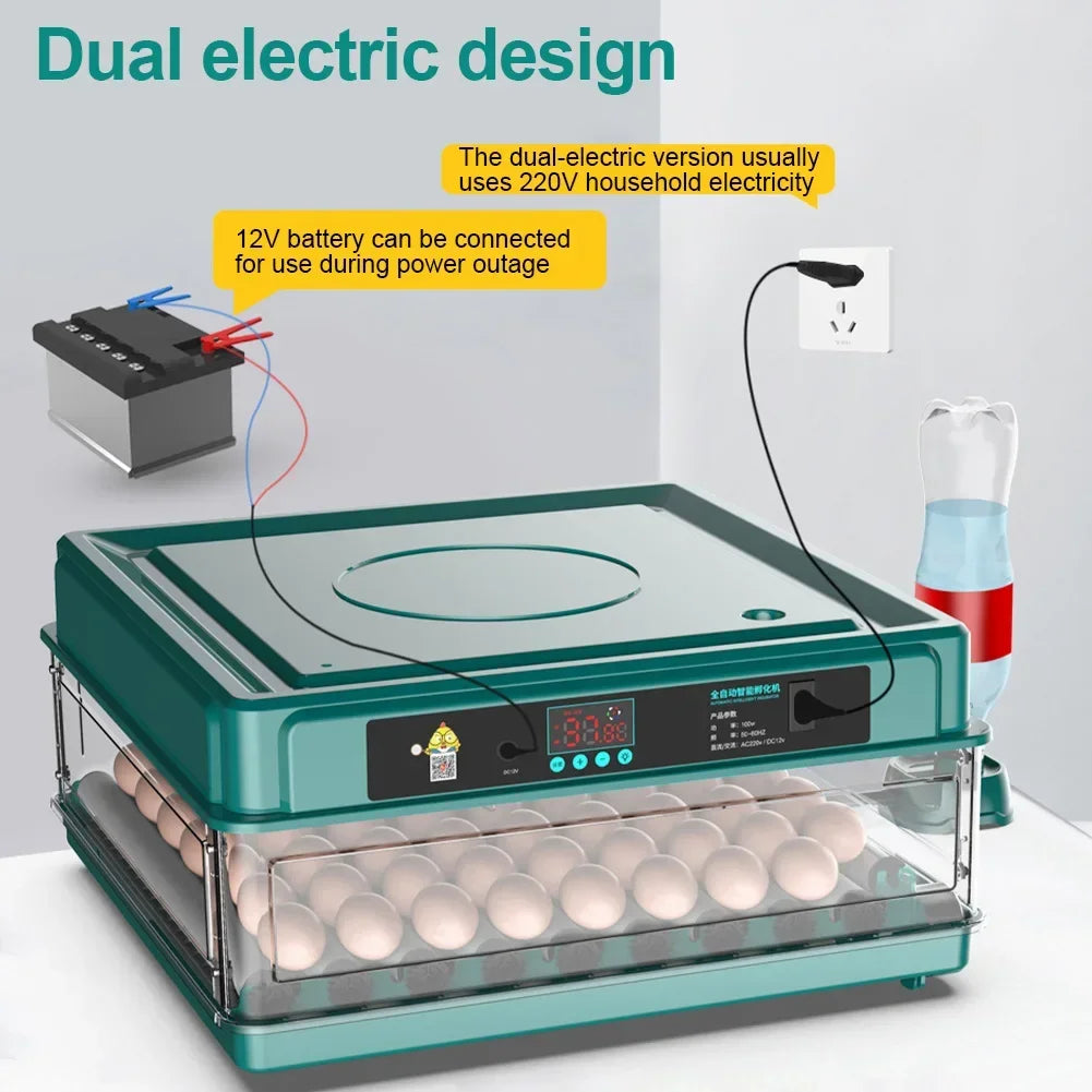 6-12 Eggs Incubator for Chicken Goose Bird Quail Automatic Incubation Equipment Hatchery Incubation Tool US Plug Dual Electric design