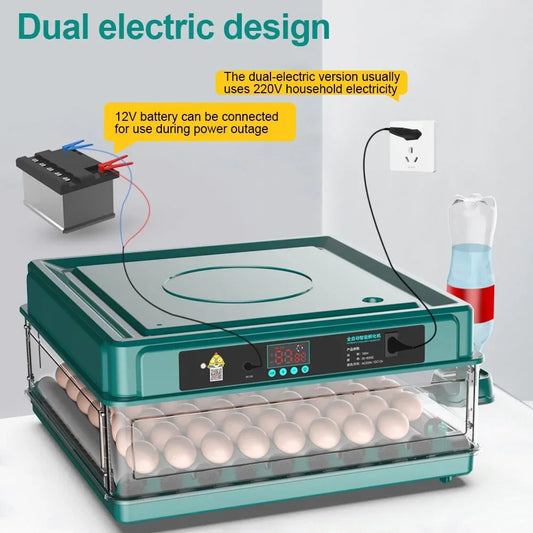 6-12 Eggs Incubator for Chicken Goose Bird Quail Automatic Incubation Equipment Hatchery Incubation Tool US Plug Dual Electric design