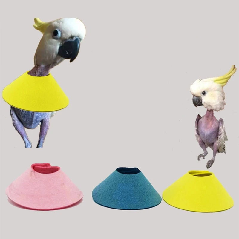 Pet Bird Collar for Plucking Parrot Anti-Bite Recovery Collar Protective Neck Circle for Budgies Prevent Feather Scratch Y5GB