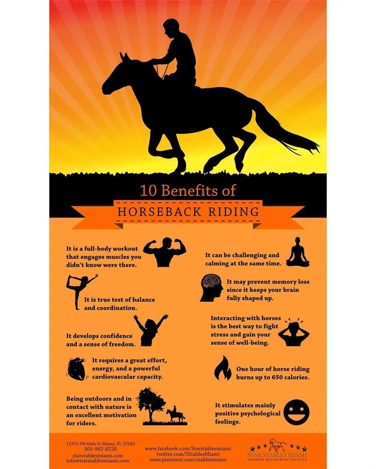 MXLLINA Women Equestrian Clothes Set Horse Riding Long Sleeve T-shirts And Pants Sports Suit Competition Training Riding Wear