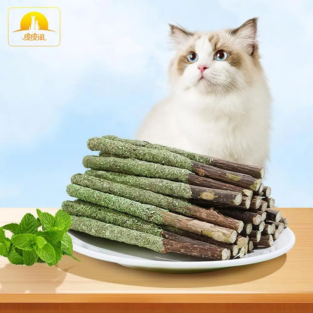 Natural Matatabi Cat Stick Mint Caught Bite Excited Rods Silvervine For Cat Teeth Cleaning Treating Pet Supply Cat Toys