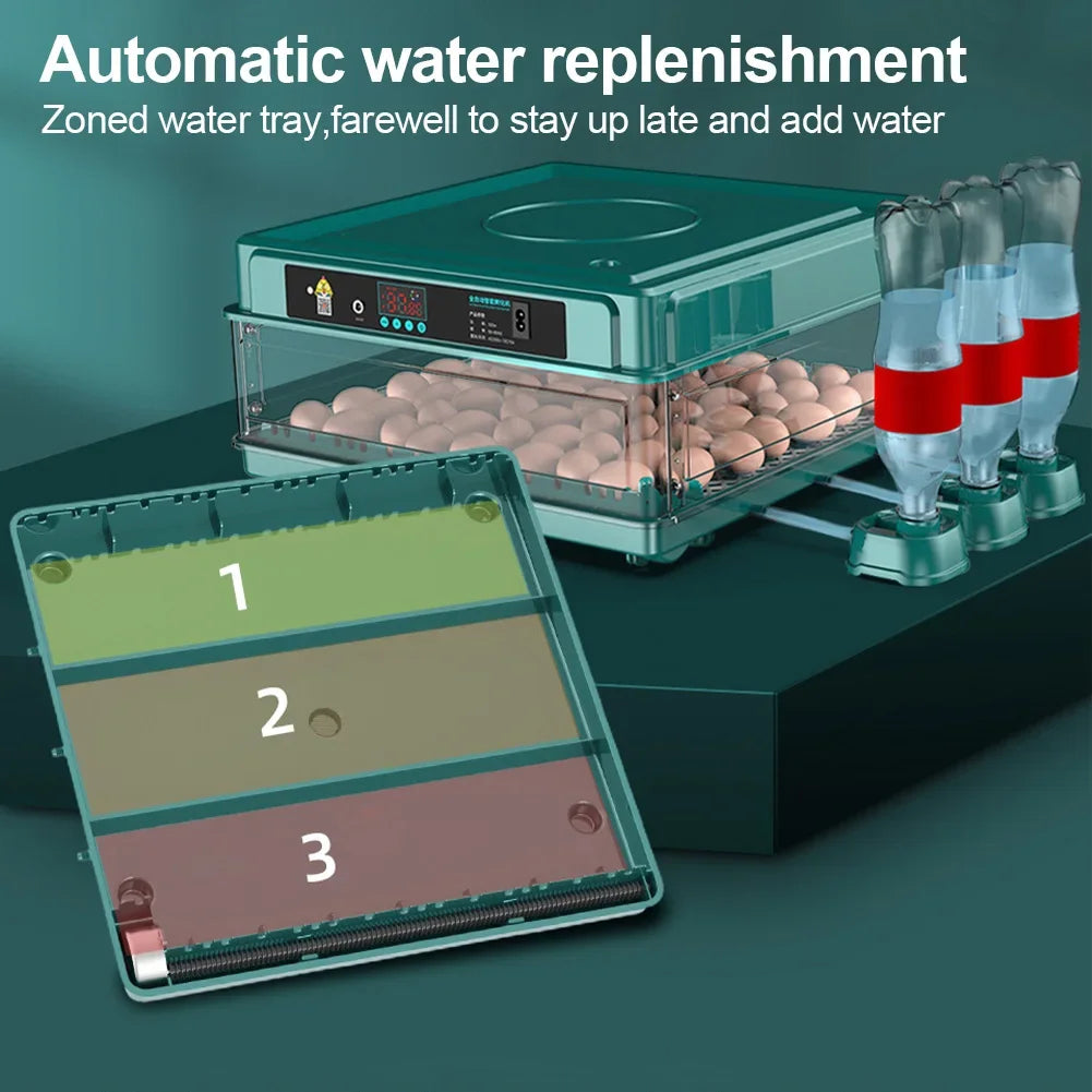 6-12 Eggs Incubator for Chicken Goose Bird Quail Automatic Incubation Equipment Hatchery Incubation Tool US Plug Dual Electric design