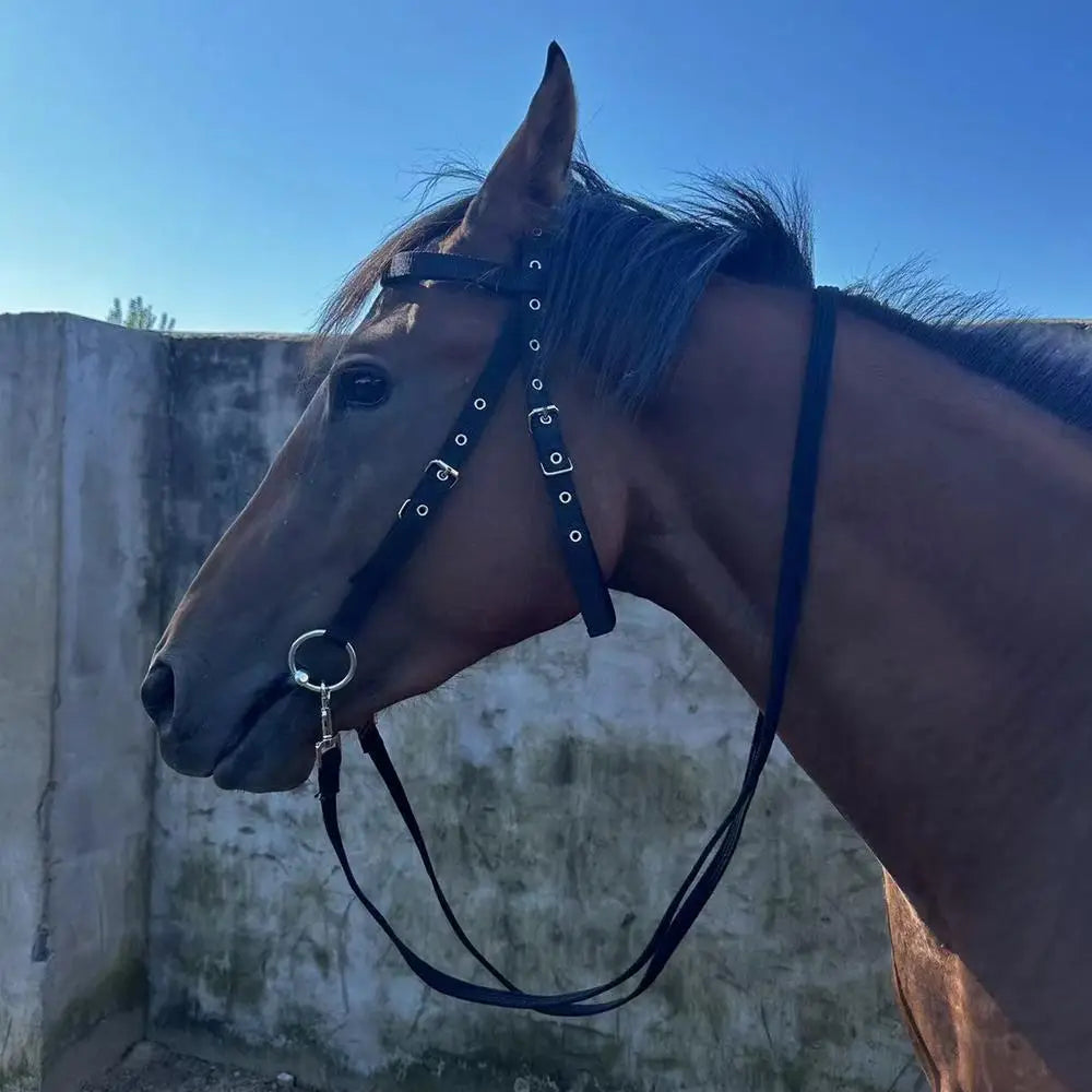 Horse Bridle Headband Chin And Throat Halters For Horses With 3 Adjustable Buckles Equestrian Training Throat And Chin Leading