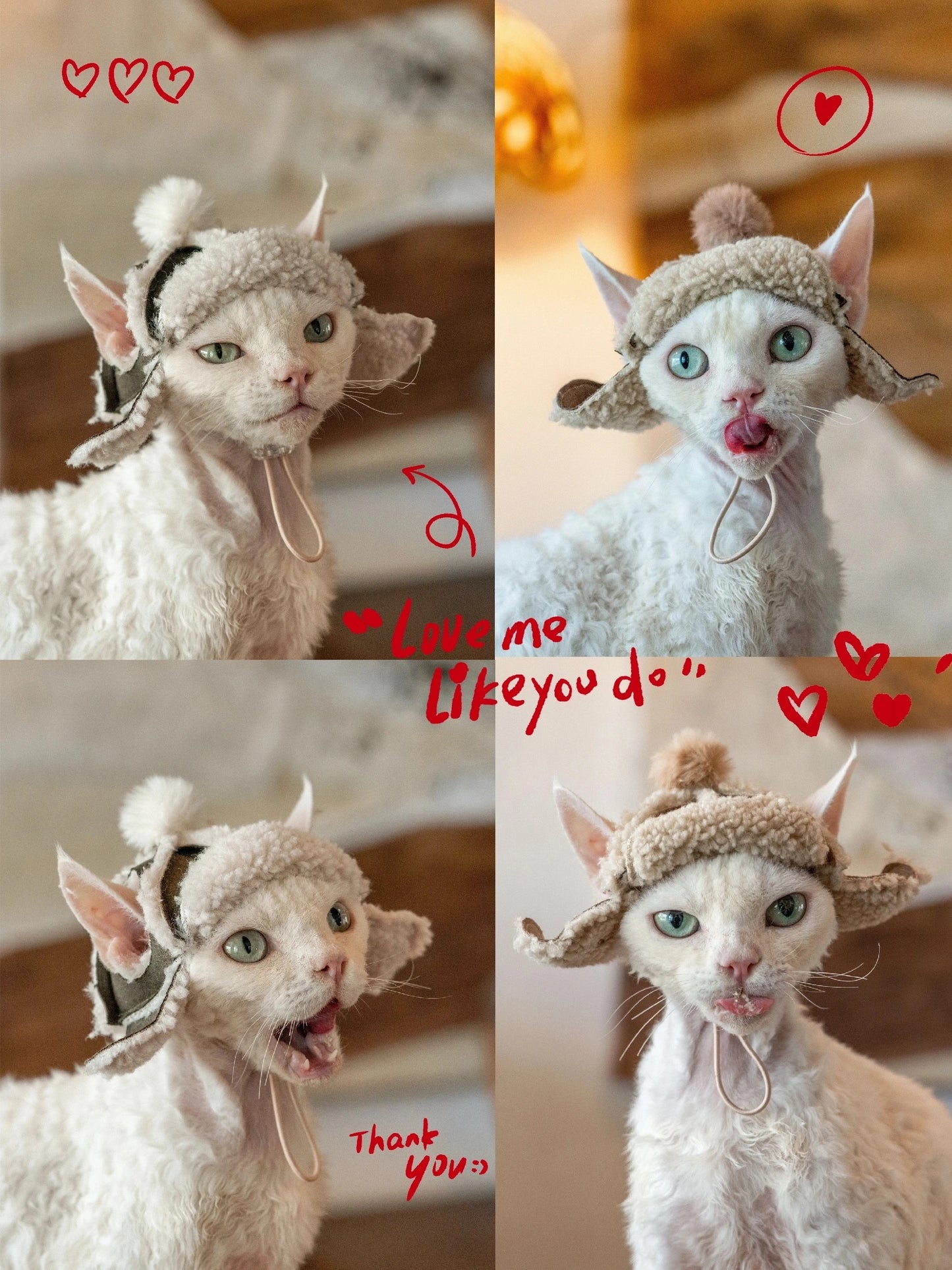 Devon Rex Cat Kittens Hats Sphynx Sheepskin Helmet Camo Fleece Hat Winter Warm Adjustable Hats With Hole