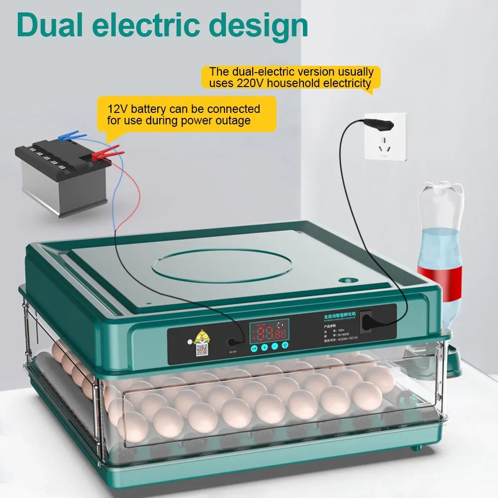 6-12 Eggs Incubator for Chicken Goose Bird Quail Automatic Incubation Equipment Hatchery Incubation Tool US Plug Dual Electric design