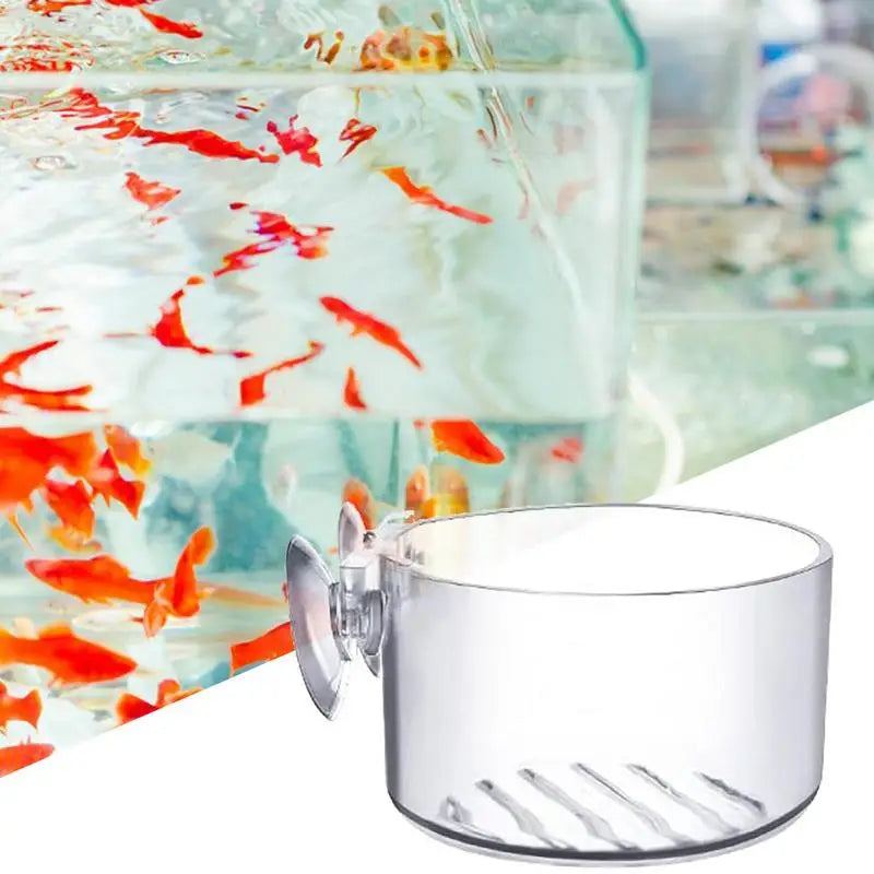 Acrylic Aquatic Plant Cup with Suction Holder Cylinder Aquarium Accessories