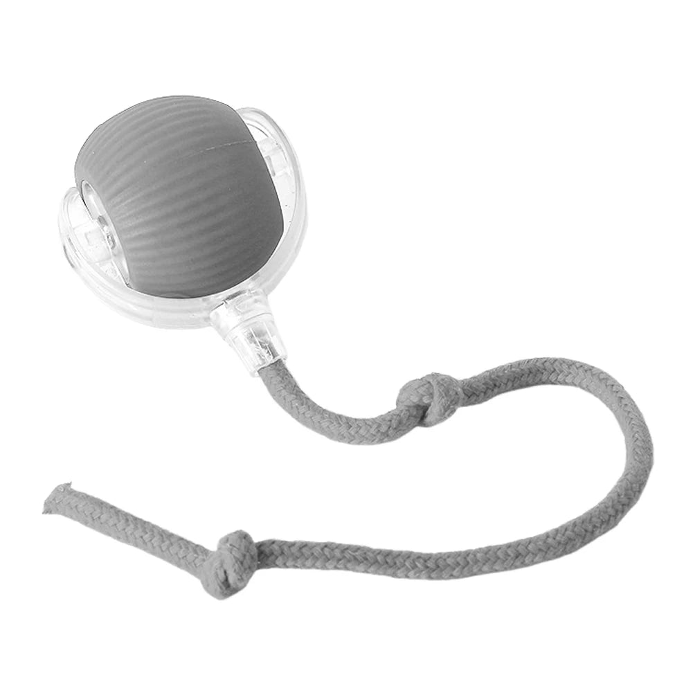 2PC/1PC Cat Interactive Ball Toys Automatic Rolling Ball Rechargeable Self Rotating Ball Fast Rolling Ball for Indoor Cat Kitten