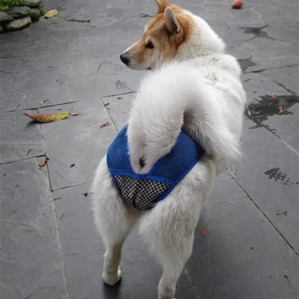 Female dog's menstrual control pants contraceptive pets anti-interference dog's sterilization period dog's prevention of mating