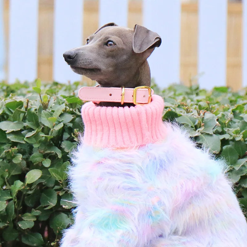 Pet Sweater Stretch Soft Turtleneck Italian Greyhound Whippet Sweater Autumn Winter Pet Sweater Small Dog Clothes S-3XL