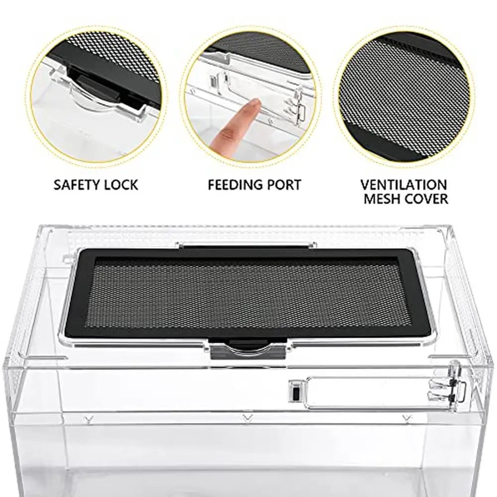 Reptile Terrarium PC Tank Starter Kit 15.6x8x10 inch Anti Breakage Amphibians Habitat Ventilation Kit Starter Accessories