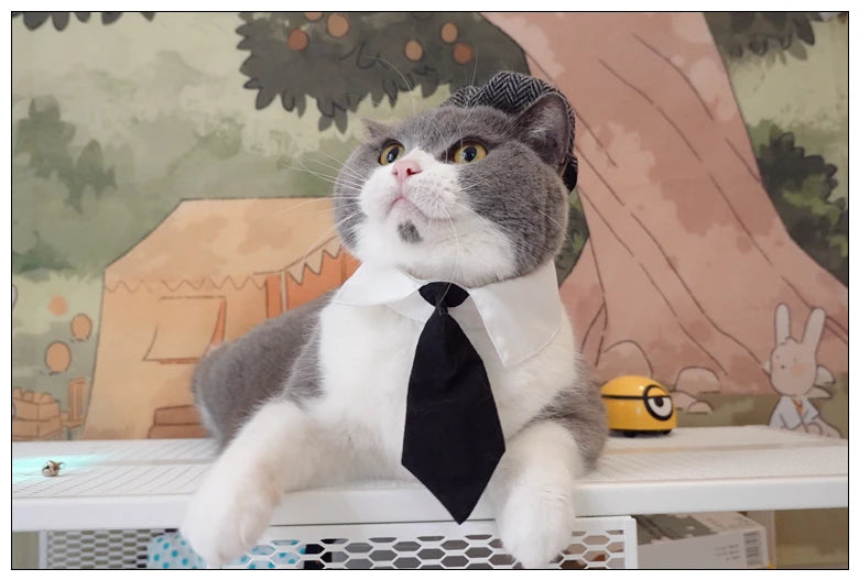 Funny Pet Cat Hat and tie Gentleman's Hat Beret Tie Bathing Blood Gangster Handsome Cosplay Photo Prop Pet Halloween Costume