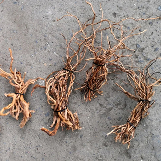 Aquarium Micro Landscape Natural Driftwood Root Trunk Tree