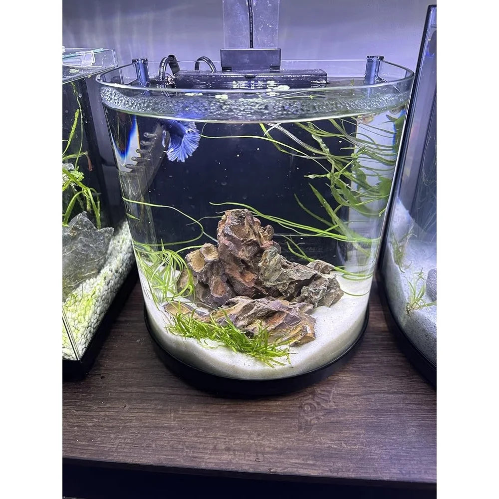 Natural Sugar White Sand Substrate 10lb Aquariums Terrariums Vivarium's 0.5-1mm Sustainable Eco-Friendly New Zealand