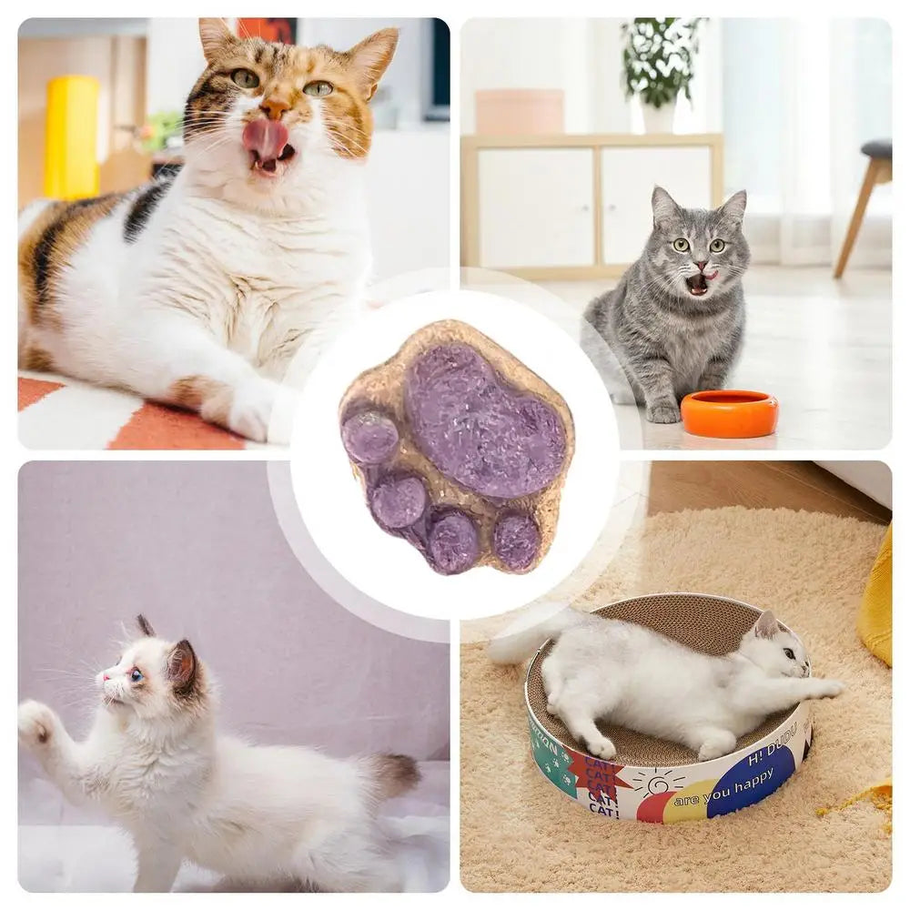 Paw Cat Treats Cat Snacks Cat Paw Biscuits Kitten Treats Healthy Cat Treats Dry Cat Treats Natural Cat Biscuits Cat Food Treats