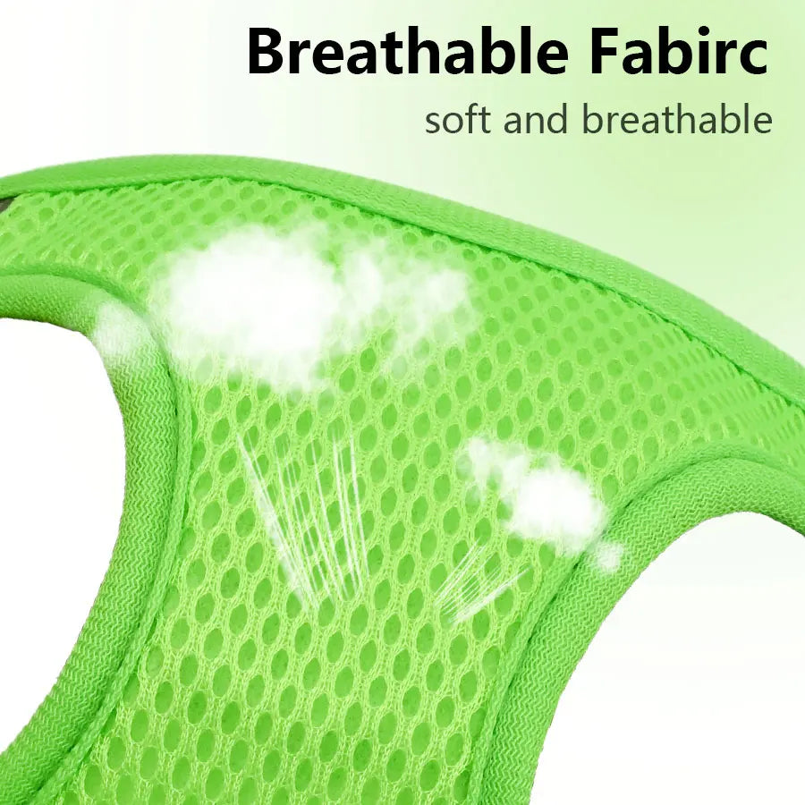 DH009 Cartoon-Dog harness and leash set features a breathable honeycomb mesh design to prevent overheating and sweating.