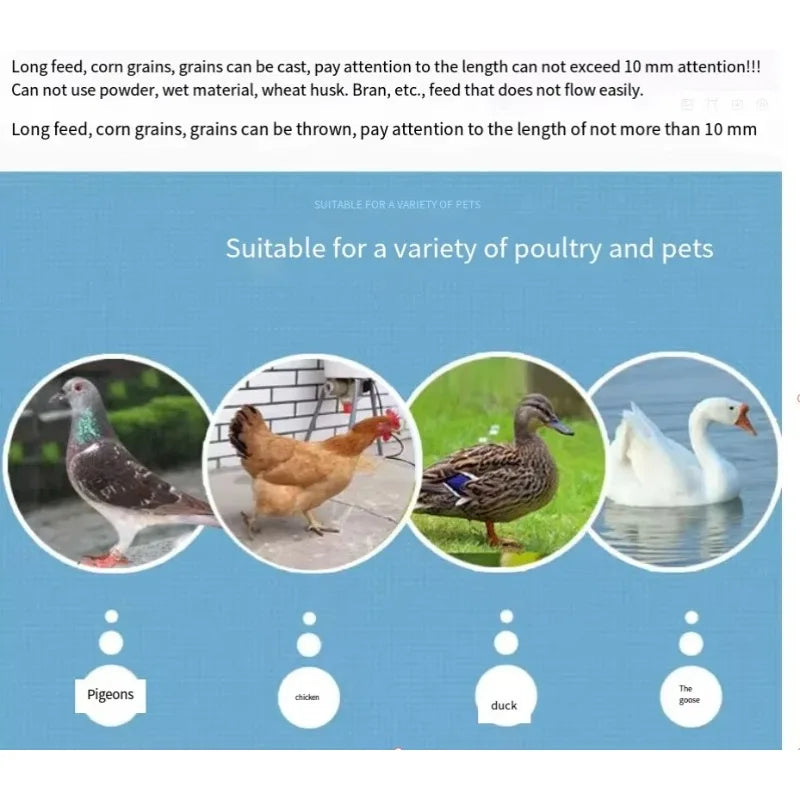 Chicken Feeder Automatic chicken feeder Timing automatic chicken feeder pigeon supplies appliances Feeding Schedule Timer 5 Different models