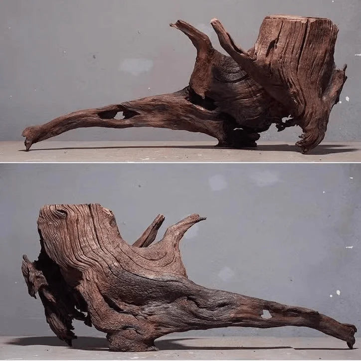 Drift Wood fish tank decoration drift wood terrarium Plants for Natural wood Driftwood décor Aquariums Driftwood fish tank Branch