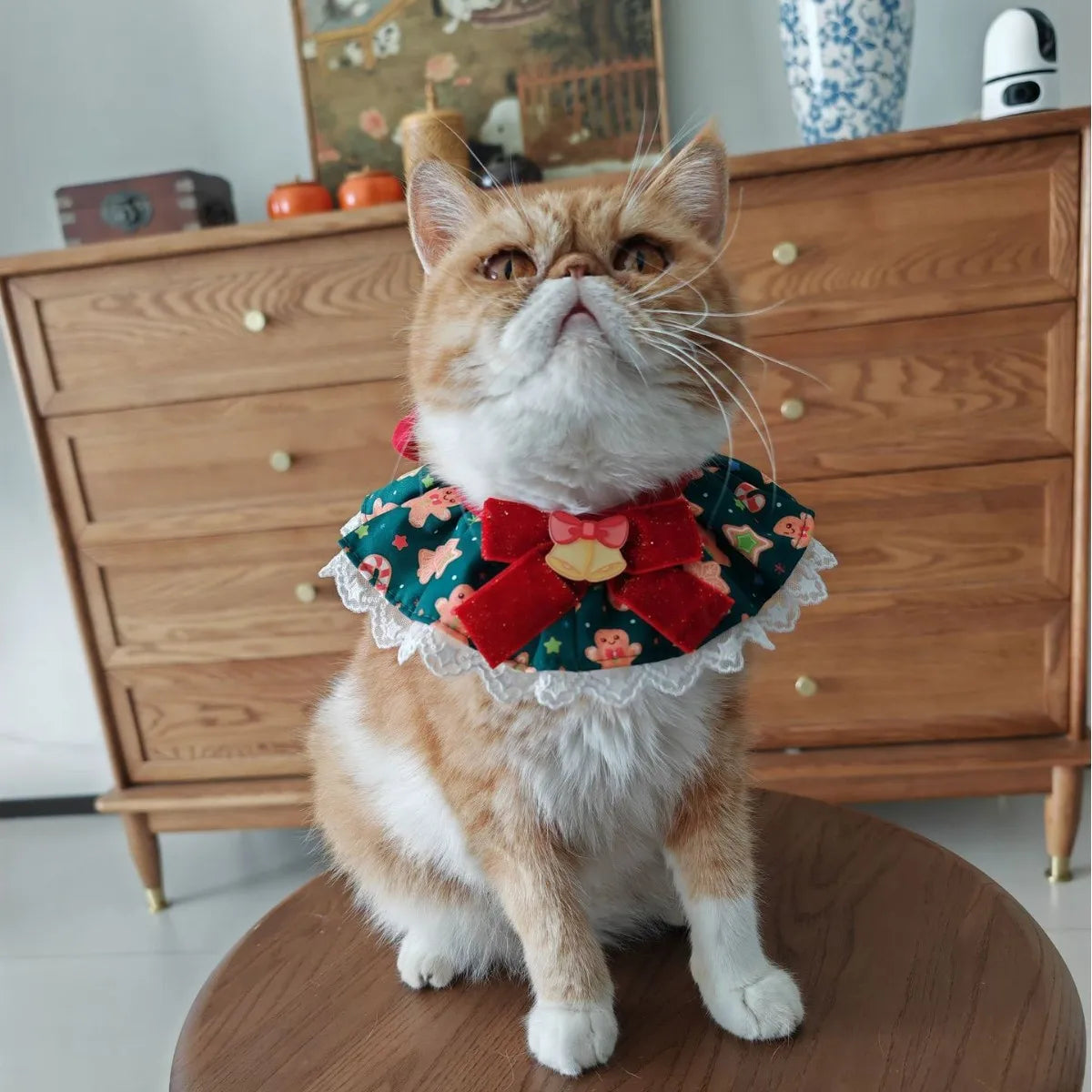 New Cat Necklace for Dog Christmas Water Towel Lace Water Towel Collar Adjustable Scarf Christmas Gift Photo Prop