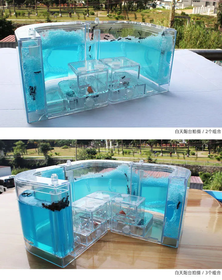 1PCS 3D Insect Acrylic For Ant Farm Observed Expansion Maze House Educational Decor Accessories Look into World Bug Box