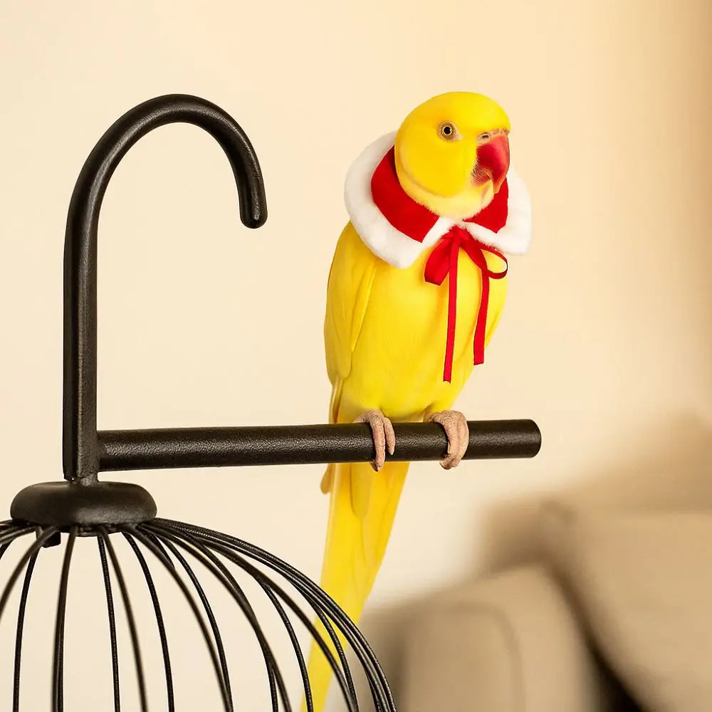 Warm Bird Cloak Festive Comfortable Pet Hamster Outfits Adjustable Windproof Parrot Outerwear for Guinea Pigs Rabbit Parrot
