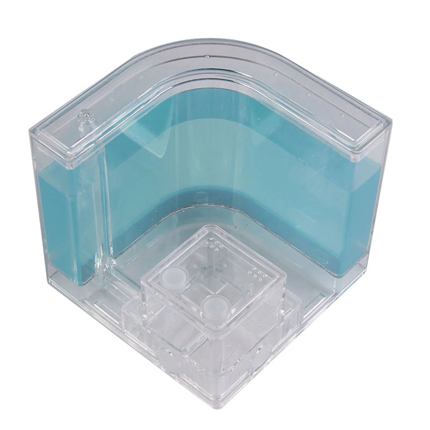1PCS 3D Insect Acrylic For Ant Farm Observed Expansion Maze House Educational Decor Accessories Look into World Bug Box