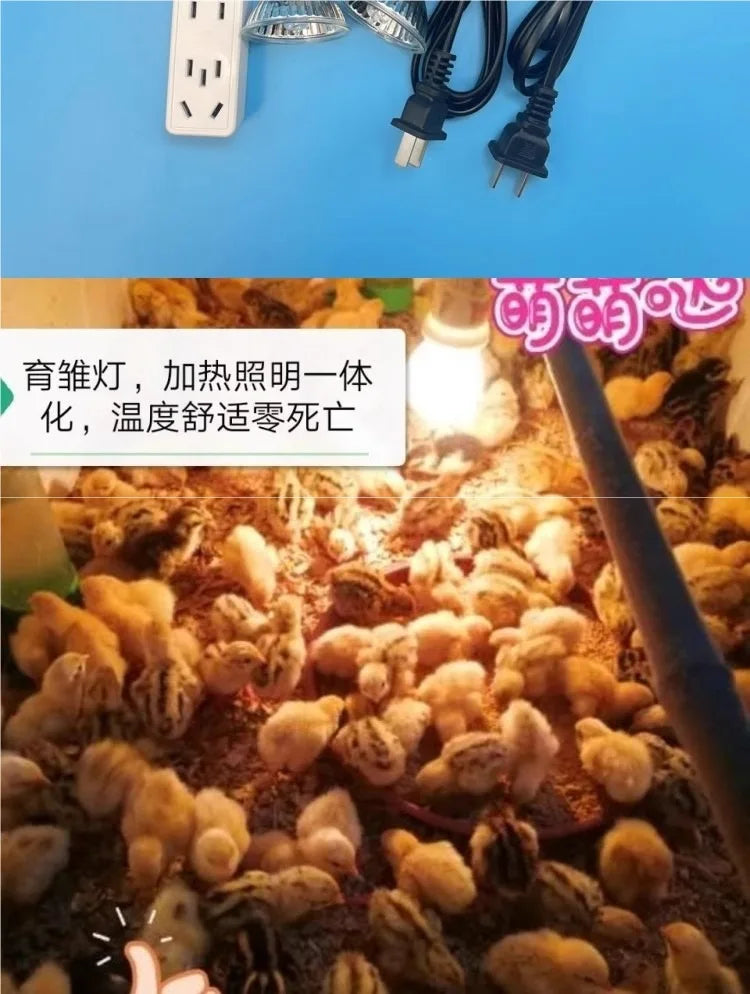 Intelligent Thermostat Heating Lamp Rutin Chicken Brooding Bird Warm Lamp Constant Temperature Breeding Special Heating Lamps