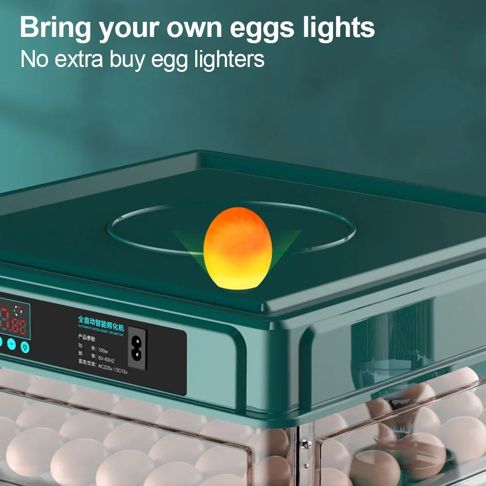 6-12 Eggs Incubator for Chicken Goose Bird Quail Automatic Incubation Equipment Hatchery Incubation Tool US Plug Dual Electric design