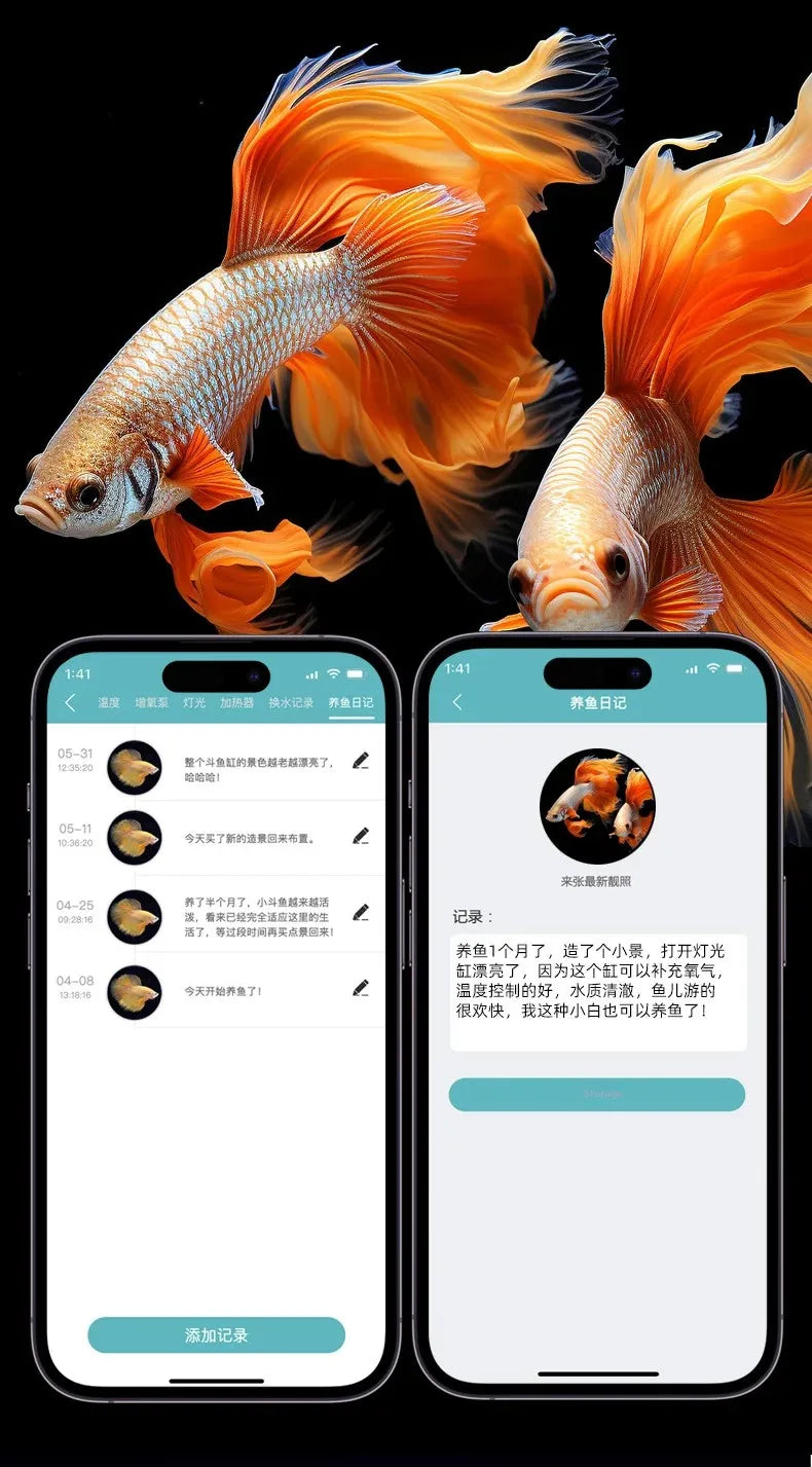 Smart betta dedicated fish tank desktop mini small ecological self-circulating desktop aquarium fish tank