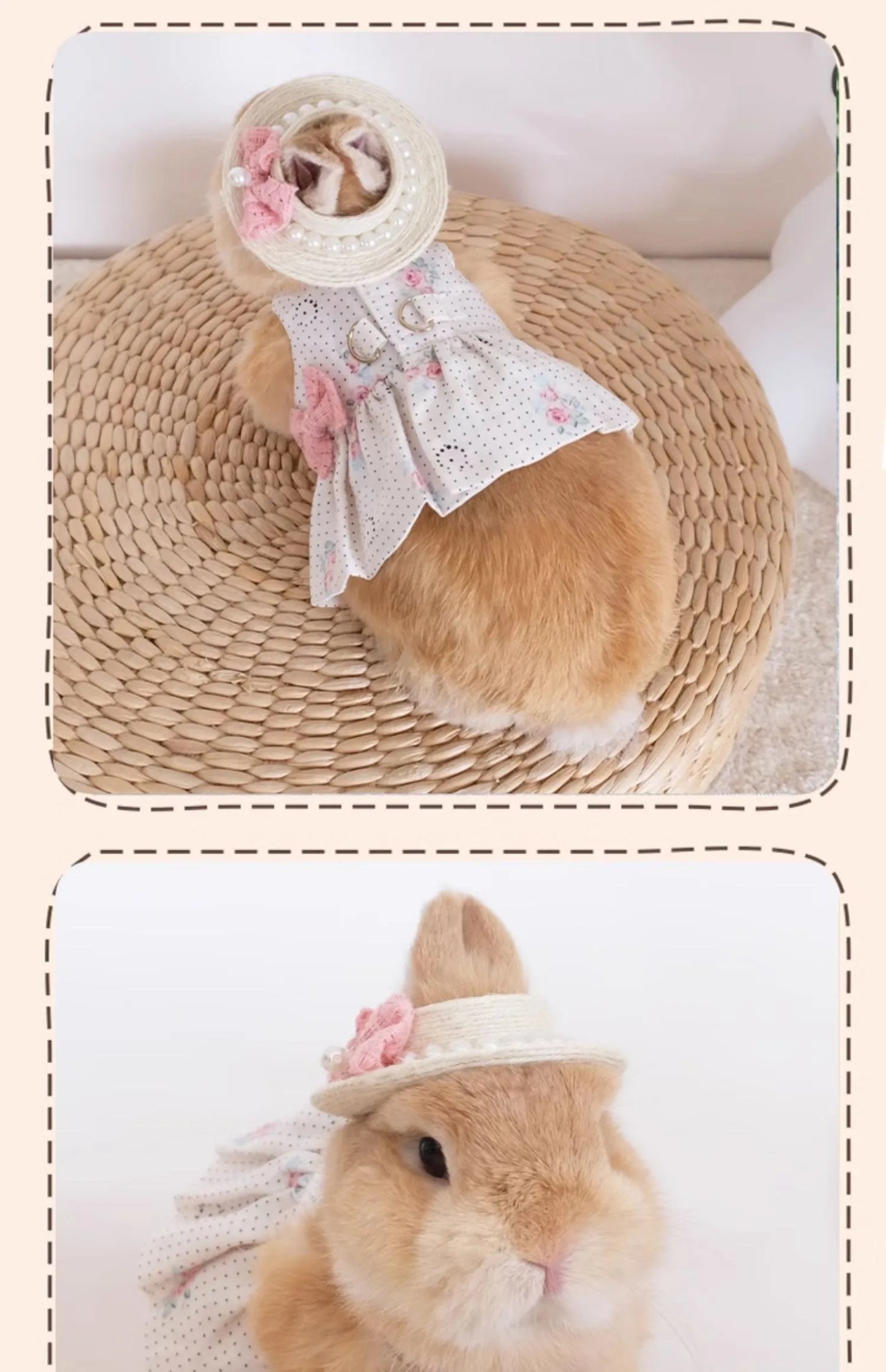 Fashion Rabbit Guinea Pigs Clothes Romantic Rose Princess Dress Set for Little Animals Bunny Chinchillas Suit Rabbit Supplies