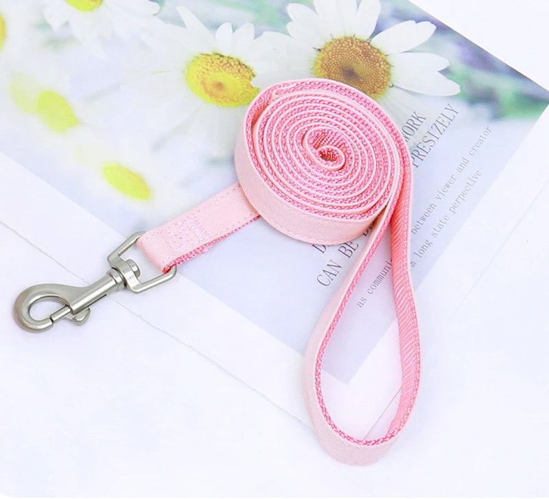 Monochromatic Pet Vest, Harness and Leash Set, Pocket Bear, Clothes for Chihuahua, Yorkie, Walking, Training, Cat, Dog Chain