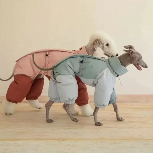 Lingtihuibit Turtleneck Cotton-padded Clothes Autumn Winter Pet Dogs High-necked Cotton Coat Fashion Dogs Warm Windproof Jacket