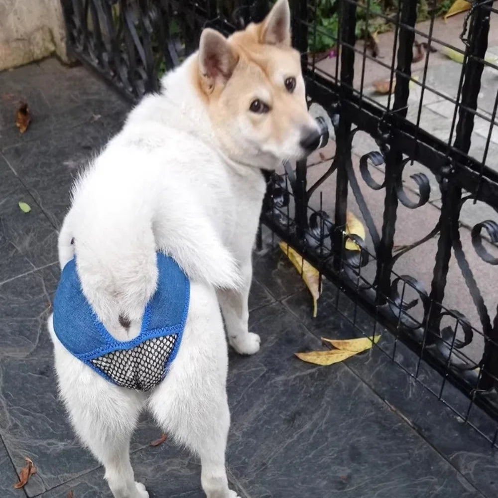 Female dog's menstrual control pants contraceptive pets anti-interference dog's sterilization period dog's prevention of mating