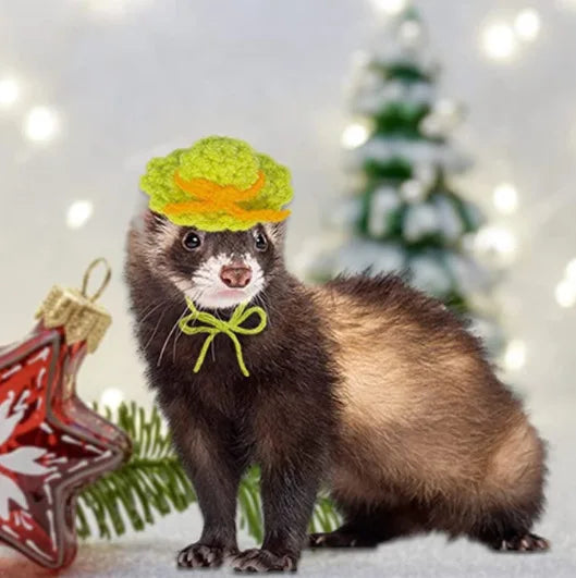 Cute Handmade Knitted Hat Hamster Decoration Chipmunk Guinea Pig Hamster Accessories Hamster Toy Halloween Christmas Pet Decor