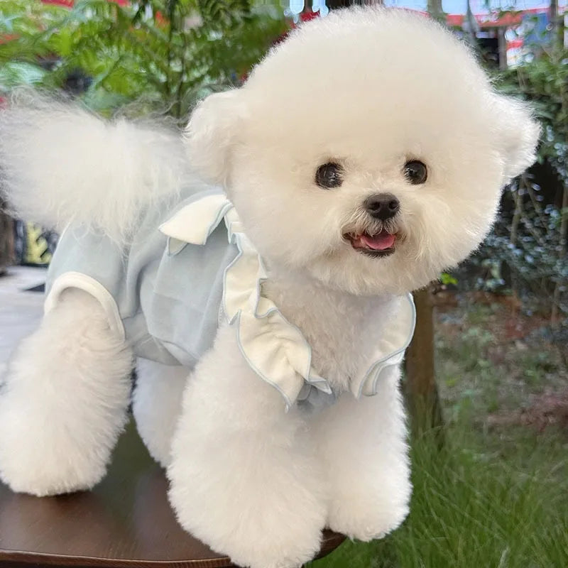 Teddy Four-Legged Neuter Suit Pet Autumn Vest Puppy Belly Protection Sleepwear Solid Color Dog Clothes