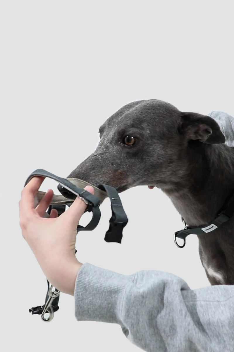 Dog Mouth Anti Barking Bark Collar Dog Adjustable Training Mesh Fabric Explosion-proof Flushing Control Traction Pet Supplies