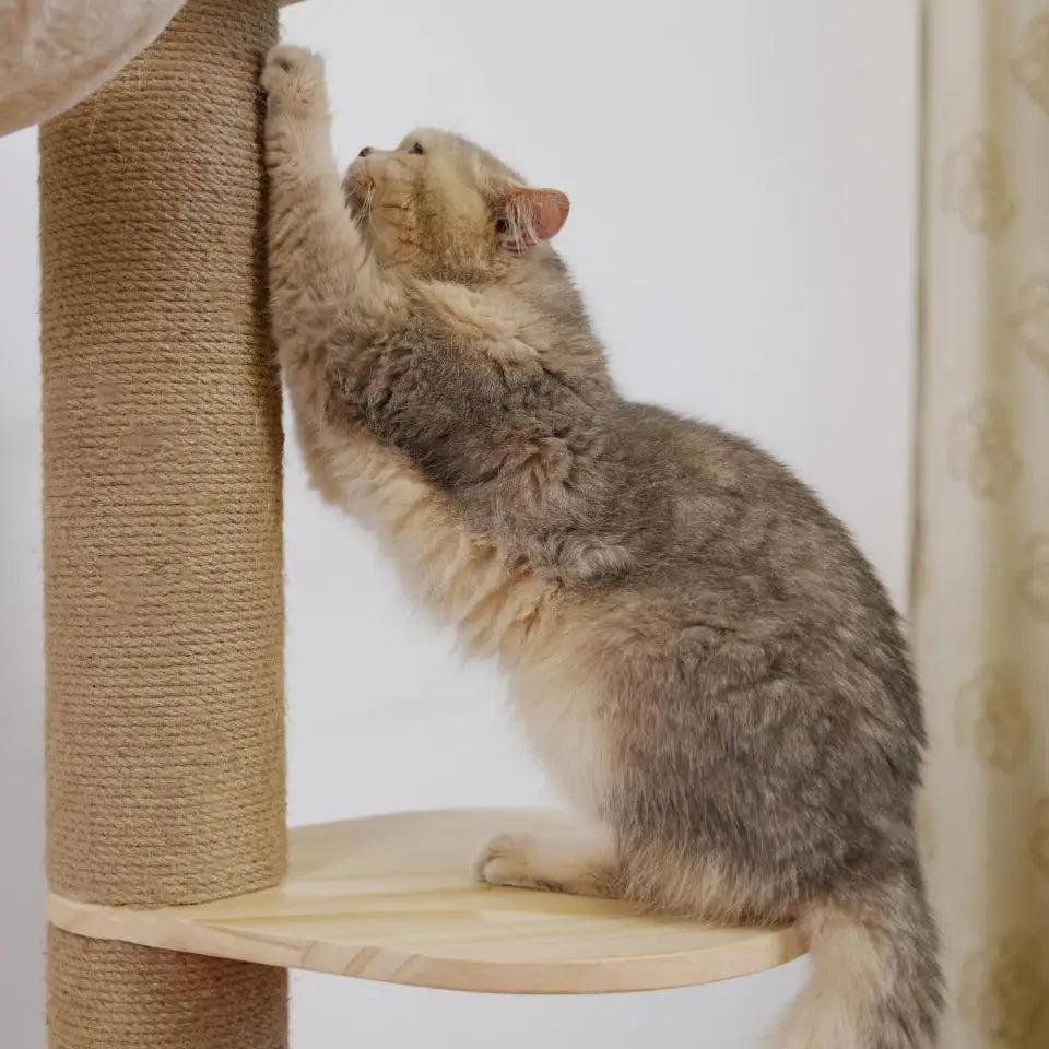 M8 Cat Tree Tower Scratching Post Replacement Set Refill Pole Parts for Kittens Tower Scratch Pole Accessories for Scratching