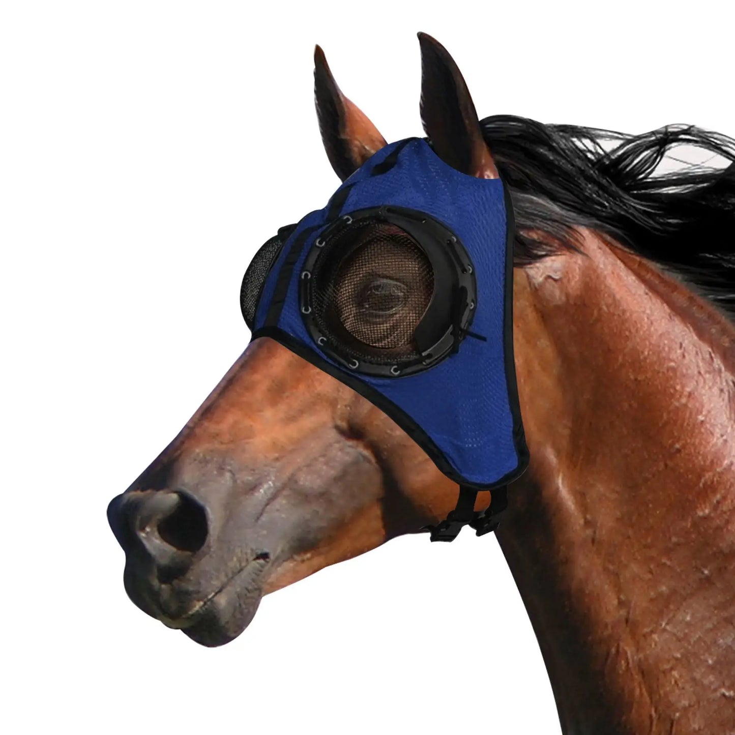 Horse racing eye mask windproof eye mask speed racing eye mask with mesh eye mask to prevent trachoma