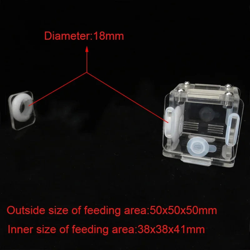 DIY Various Size Ant Farm Bamboo Tube Nest with Feeding Area Pet Anthill Workshop Queen Ant Breeding Nest Ant House Nest Bracket